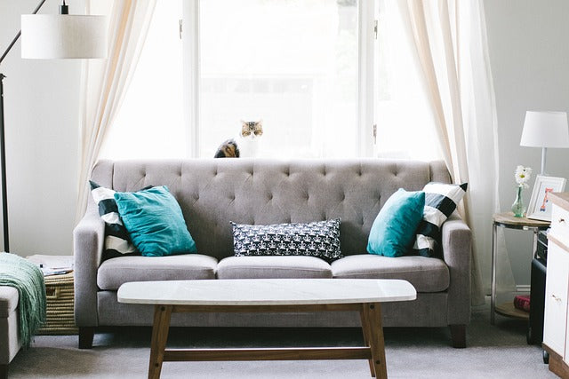 4 Things to Consider before Buying a Sofa