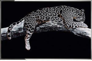 NC - LEOPARD WALL ART